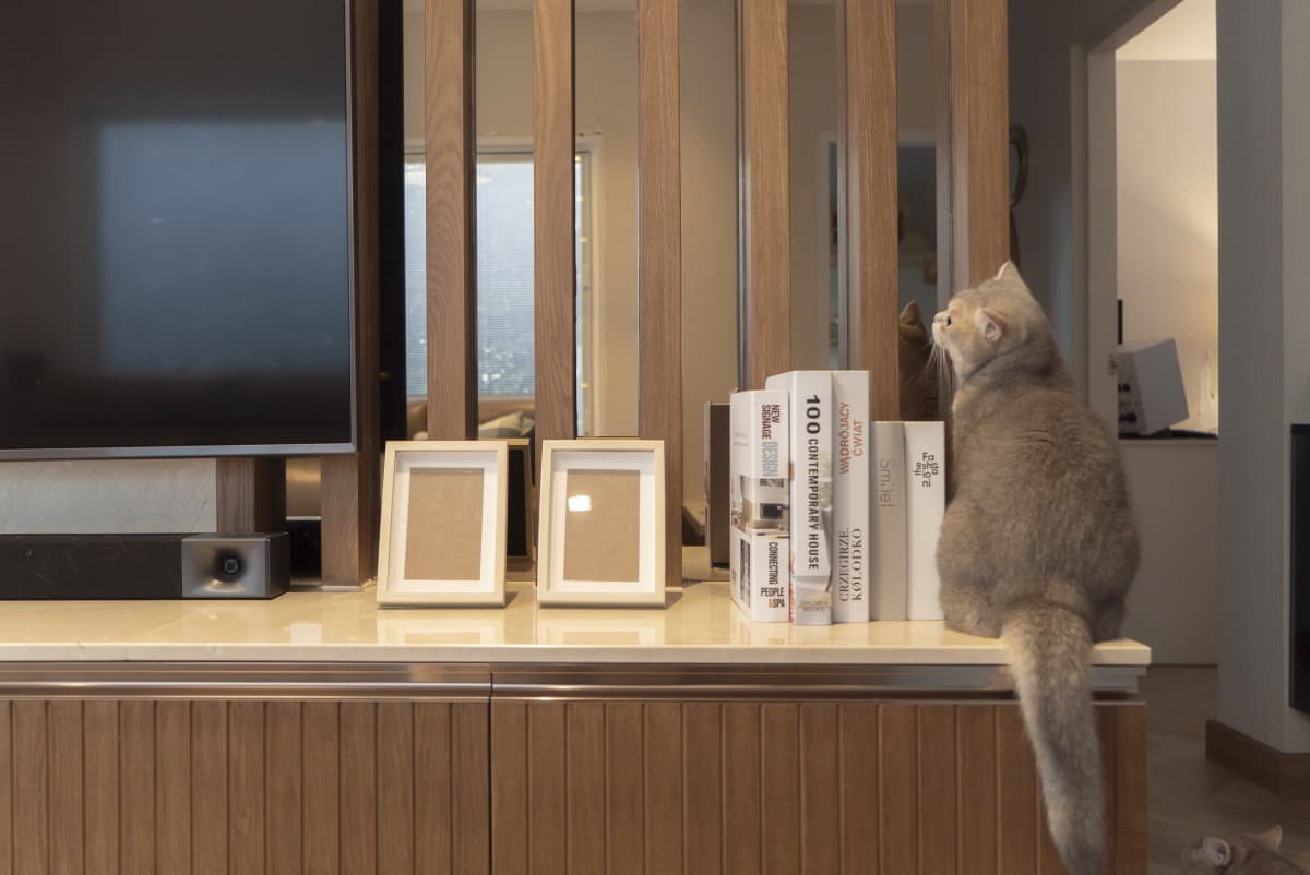 งานตกแต่งภายในที่พักอาศัย Casa Premium ภาพที่ 1 โดย OBJ Design & Build