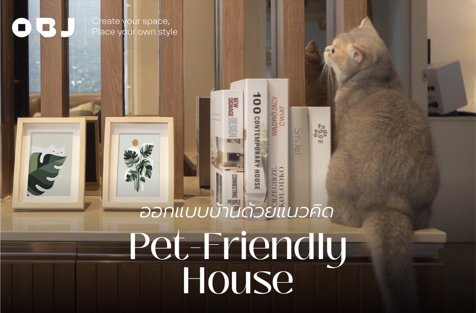 ออกแบบบ้านด้วยแนวคิด Pet-Friendly House