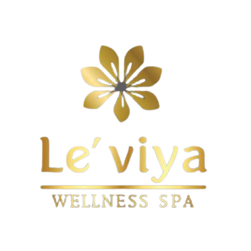 โลโก้ Leviya