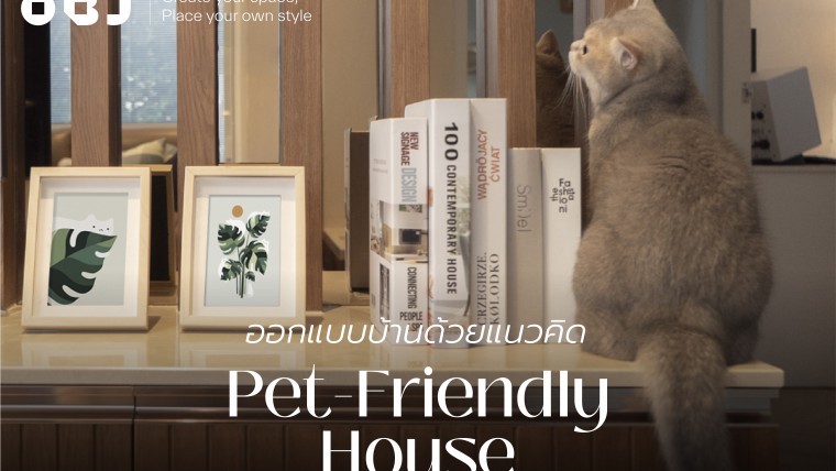 ออกแบบบ้านด้วยแนวคิด Pet-Friendly House